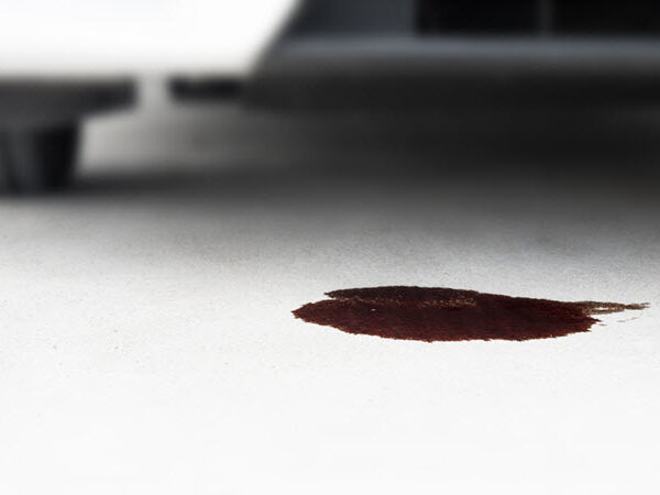 BMW 6 Series Oil Leak